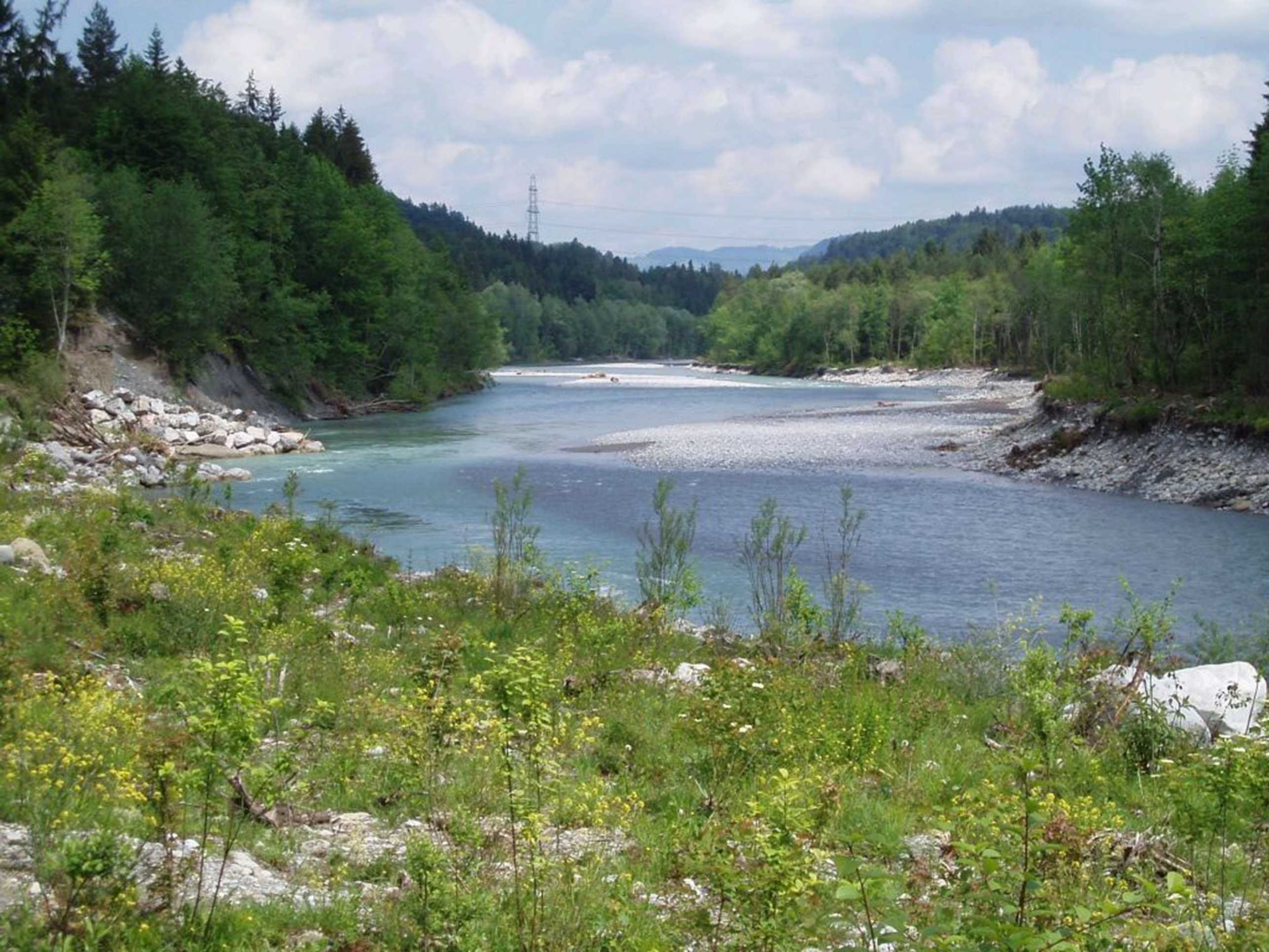 Enlarged view: Dynamic river widening Augand at the Kander River (Tiefbauamt des Kantons Bern, Oberingenieurkreis I, Kander Augand, 2006)