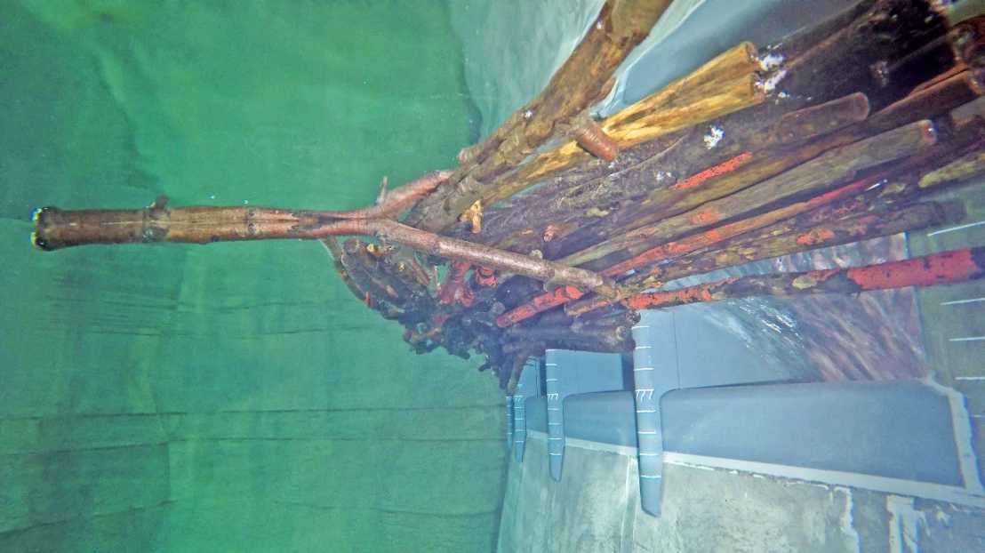 Enlarged view: Fig.2: Photo of the accumulated model driftwood at slightly protruding weir piers of the overflow spillway.