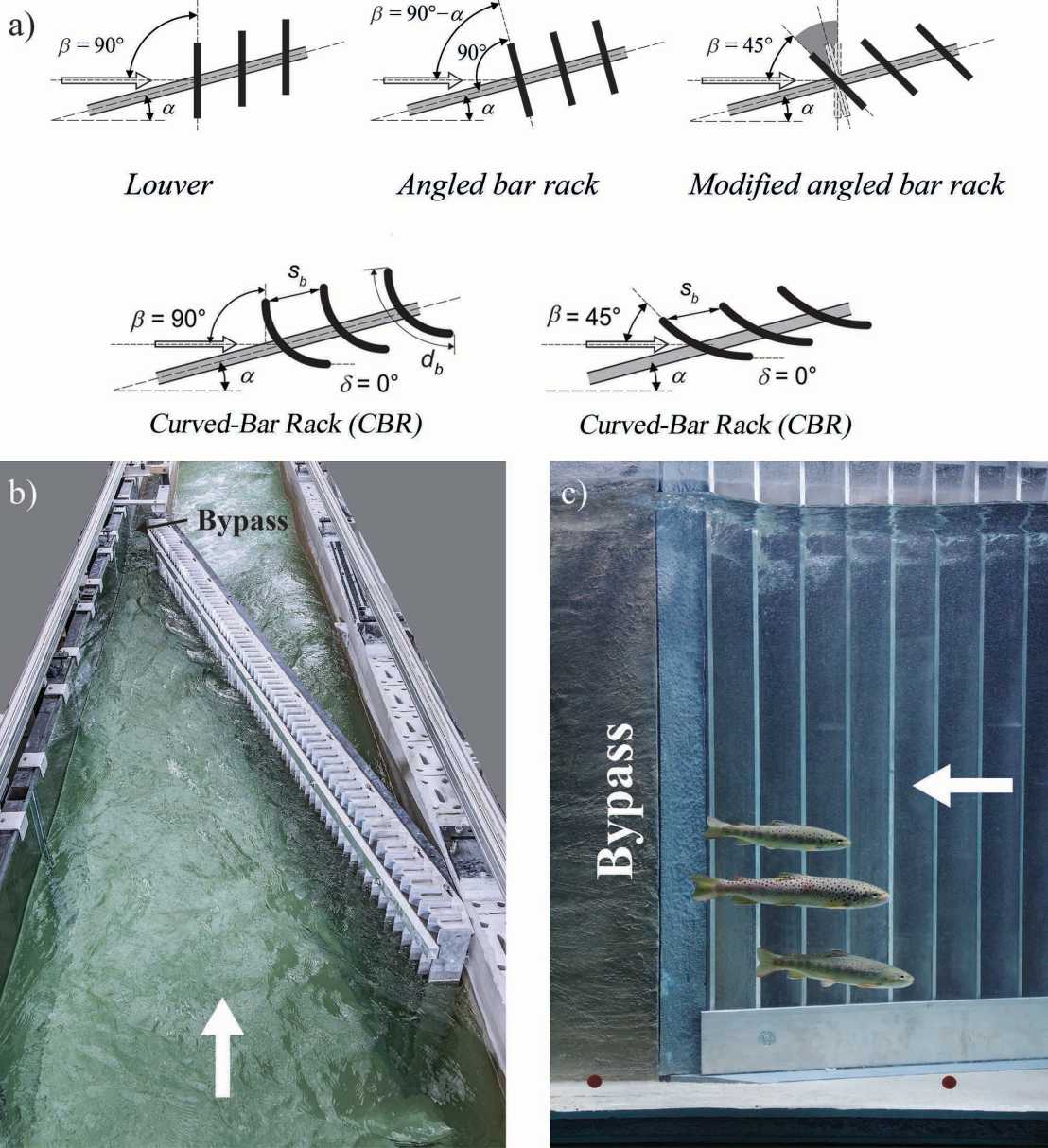 Enlarged view: Detailed view of louver, angled bar rack,  modified angled bar rack and newly designed curved-bar racks (a), ethohydraulic model with louver: (b) top view and (c) side view with trout (Photo: D. Flügel) (→flow direction)